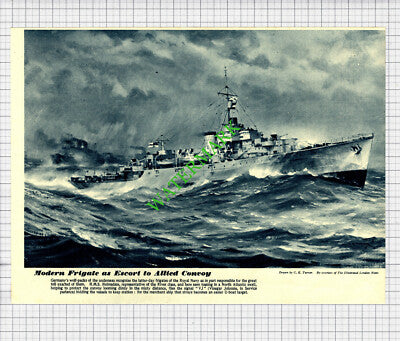 HMS Helmsdale Ship World War Two -1944 Cutting / Print