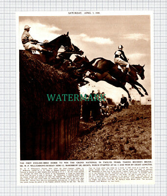 (X158) Mr W F Williamson Horse RUSSIAN HERO L McMorrow Grand National 1949 Clip