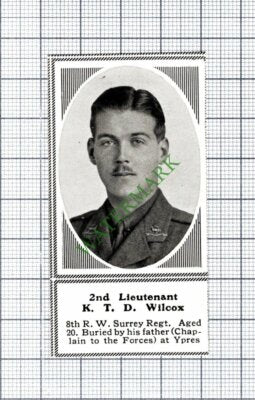 2nd Lt KTD Wilcox 8th R W Surrey Regt -1915 SMALL Cutting