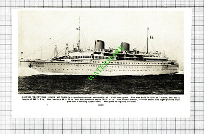 Lloyd Triestino Liner Ship VICTORIA  - 1930s Cutting