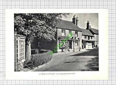 Ditchling Sussex - 1956 Cutting