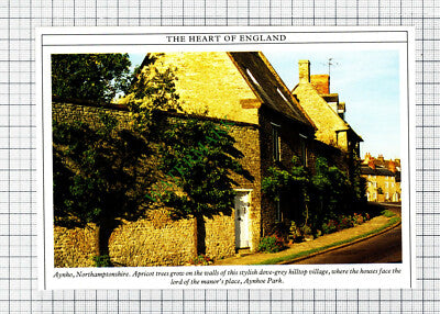 C8031) Aynho Northamptonshire    - 1980s Cutting