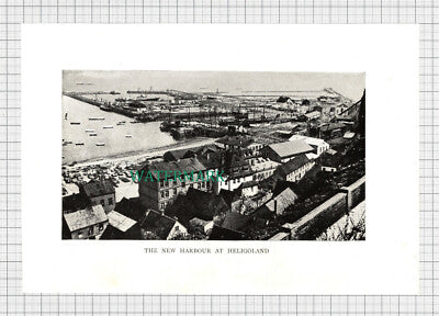 C3697) The New Harbour At Heligoland - c.1920s Book Print