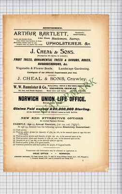 C3897) Norwich Union Life Office / Brown & Polson Flour WH Milledge 1900 Cutting