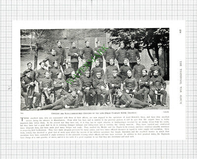 11th Field Company Royal Engineers -    c.1900 Print / Cutting