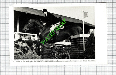 Mrs Bryan Marshall Jockey Horse TUBBERNAGAT - 1950s Small Cutting