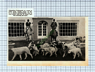 C1096) Llangelnor Foxhounds Hunt Felin Fach Tondu EL David Price - 1970 Cutting