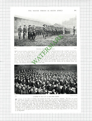CIV City Imperial Volunteers Col Cholmondeley  -  c.1900 Print / Cutting