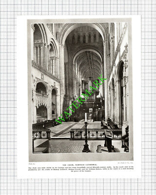 Norwich Cathedral  - 1920s Cutting / Print