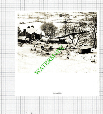 Scotchergill Farm Yorkshire / Jim Taylor Dairy Farmer - c.1980s Cutting / Print
