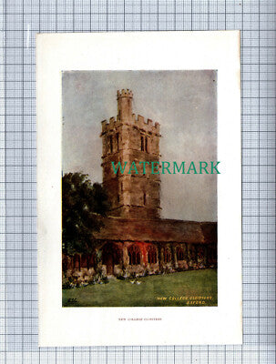C4097) OXFORD New College Cloisters / City Wall  - SMALL c.1900 Book Print
