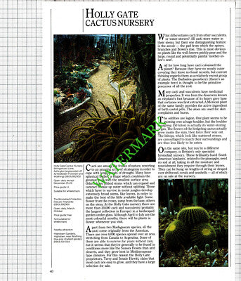 Parham Park Storrington Sussex / Holly Gate Cactus Nursery Hewitt - 1986 Cutting