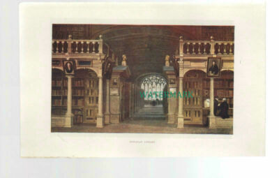 C4233) OXFORD Divinity School / Bodleian Library - Book Print