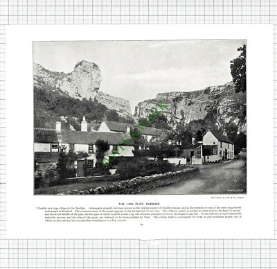 The Lion Cliff Cheddar  / Bristol - c.1895 Book Print