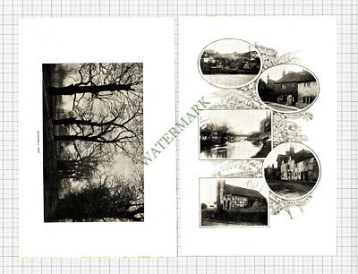 9074) Guildford Surrey  - 1900 Article