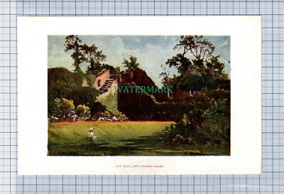 C4097) OXFORD New College Cloisters / City Wall  - SMALL c.1900 Book Print