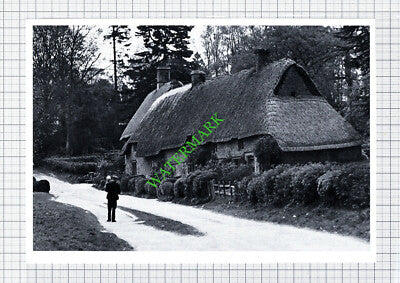 Great Tew Oxfordshire  - Cutting