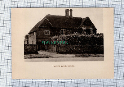 C4565) Manor Farm Witley Surrey - 1908 Clip