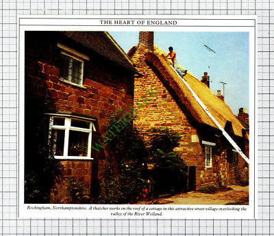 C8032) Rockingham Northamptonshire    - 1980s Cutting
