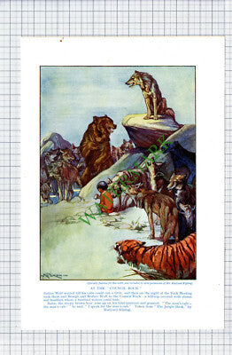 Council Rock Jungle Book KT Nixon  - c.1930s Print