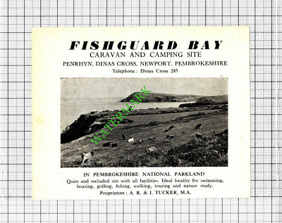 Bangeston Hall Pembroke Dock / Fishguard Caravan Site Penrhyn - c.1960 Cutting
