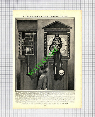 How A Grandfather Clock Works - c.1930s Cutting / Print