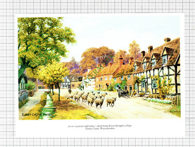 Elmley Castle Worcestershire  - c.1990s Cutting / Print