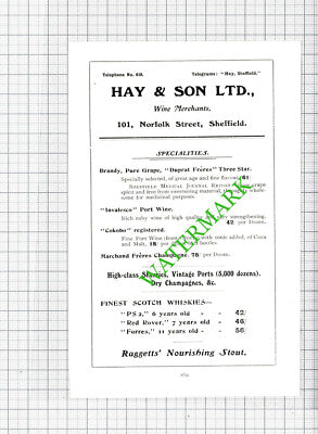 Hay & Son Wine Sheffield / Duncan Gilmour Stout Small Advert - 1908 Cutting