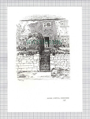 (8134) Nether Compton Dorset / Alhampton Somerset - 1980s Print / Cutting