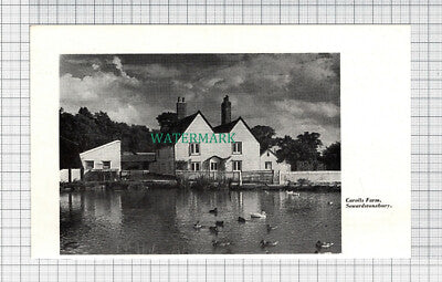 C3779) Carolls Farm Sewardstonebury Essex - 1964 Clip