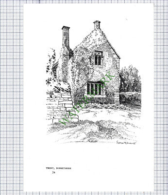 9502) Trent Dorset / Corsham Wiltshire  - c.1980s Print / Cutting
