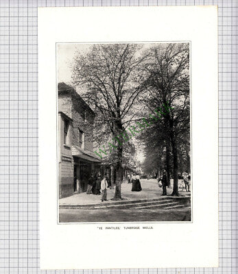 8902) PANTILES TUNBRIDGE WELLS  - c.1900 Print / Cutting
