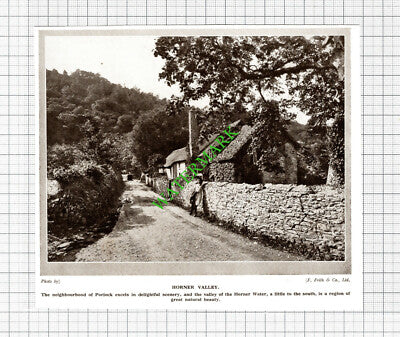 Porlock Horner Valley  - 1920's Cutting