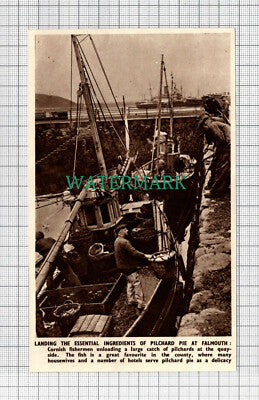 C2915) Cornish Fishermen Falmouth Unload Pilchard Catch - 1950 Clip