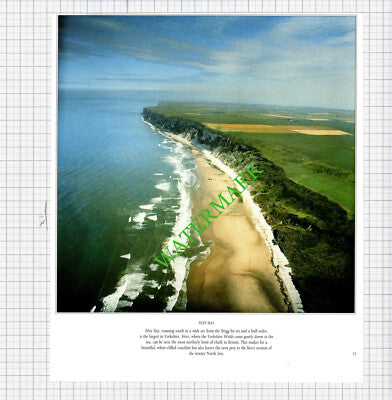 Filey Brigg / Filey Yorkshire - 1980s Cutting / Print