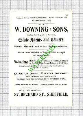 W Downing & Sons Estate Agents Sheffield  / James Scott Poultry - 1908 Cutting