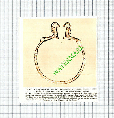 Art Museum Of St Louis USA   - 1953 Small Cutting