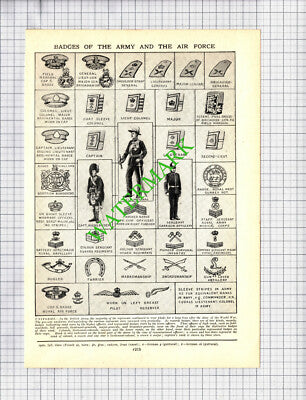 Badges Of The Army Air Force Navy - c.1940s Cutting / Print