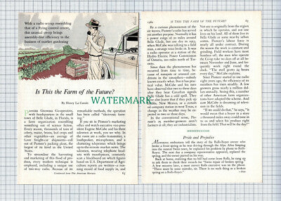 C4158)  Pioneer Growers Co-operative Belle Glade Florida McCabe  - 1960 Article