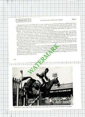 Don Carlos Figueroa Horse GRACIEUX Spain  -1950s 2-Part Cutting