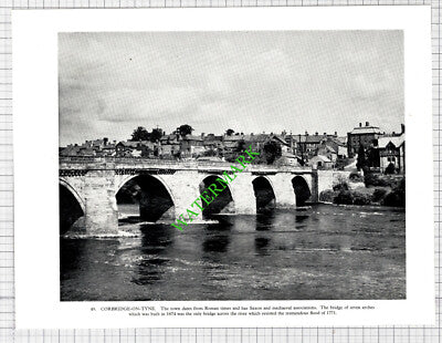 Stella Power Station Northumberland / Corbridge On Tyne - c.1960 Cutting / Print
