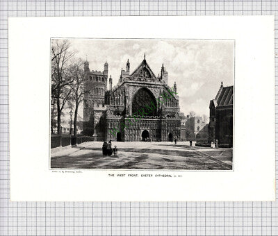 8903) EXETER CATHEDRAL - c.1900 Print / Cutting