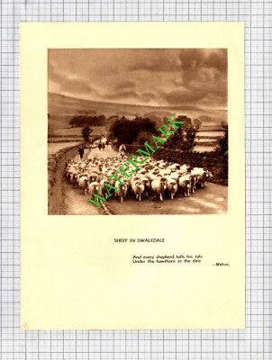 Swaledale / Kilnsey Crags Yorkshire  - c.1930s Book Print
