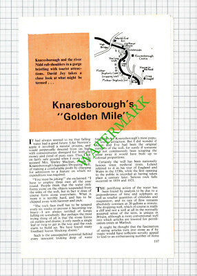 Knaresborough Mrs Shirley Maclean Dropping Well Nancy Buckle  - 1970 Article