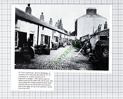 Cullercoats Brown's Buildings - Cutting