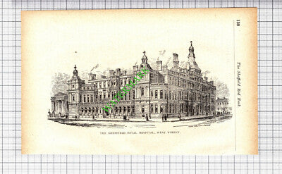 The Sheffield Royal Hospital West Street - 1905 Small Cutting