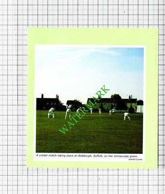 Aldeburgh Suffolk Cricket - c.1995 Small Cutting