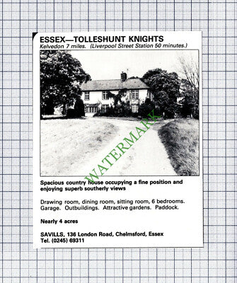 C7845) Tolleshunt Knights Essex  - 1981 Cutting
