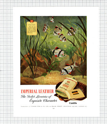 X1998) MAX FACTOR MAKE UP / CUSSONS IMPERIAL LEATHER Advert - 1948 Cutting
