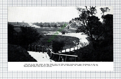 Harrogate Bogs Fields Valley Gardens Beech Grove Home JA Lupton - 1959 Cutting